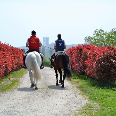 Vila Vento Barocco - Equitazione E Turismo Matera Exteriér fotografie